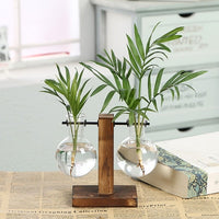 Thumbnail for Hydroponic Transparent Plant Vases