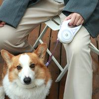 Thumbnail for Led Lights Dog Leash